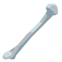 Stalking Skeleton's Fibula